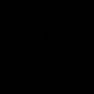 Meet your Posher, Jackson